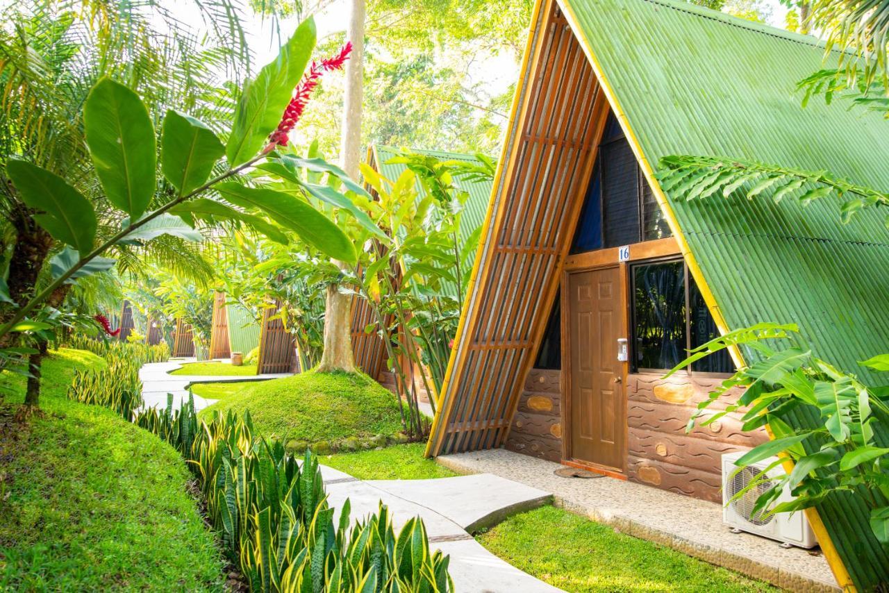 Hotel Y Bungalows El Jardin San Felipe Exteriér fotografie
